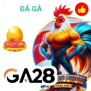 m8win Game 12